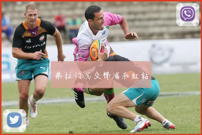 弗拉门戈交锋浦和红钻