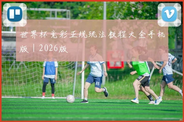 世界杯竞彩正规玩法教程大全手机版|2026版