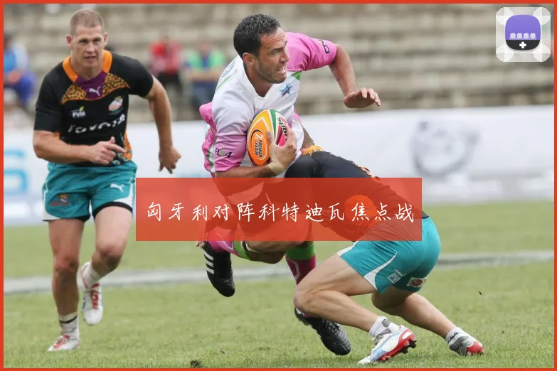 匈牙利对阵科特迪瓦焦点战