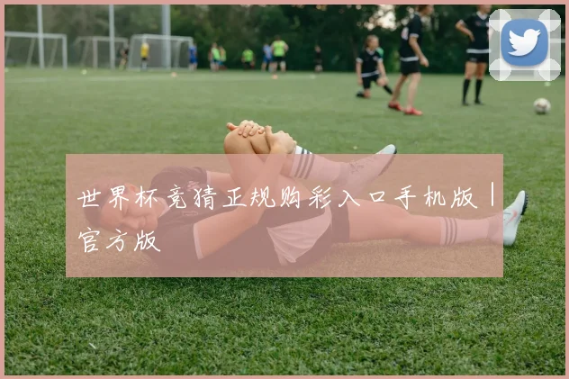 世界杯竞猜正规购彩入口手机版|官方版