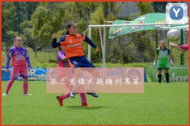 法兰克福大战梅州客家