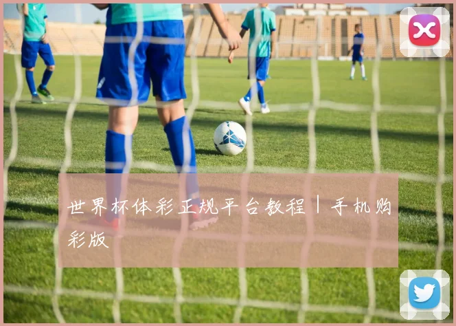 世界杯体彩正规平台教程|手机购彩版
