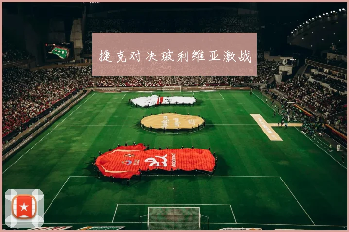 捷克对决玻利维亚激战
