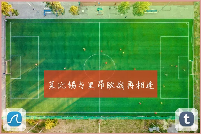 莱比锡与里昂欧战再相逢